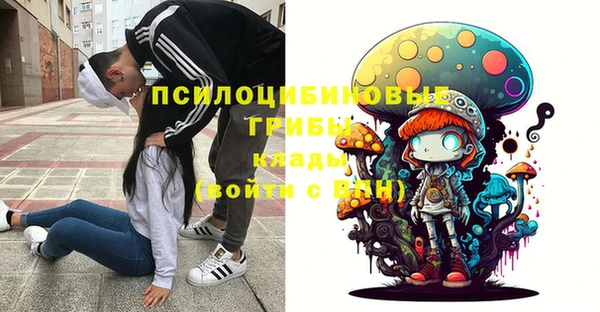 эйфоретик Балахна