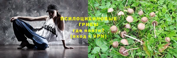 ПСИЛОЦИБИНОВЫЕ ГРИБЫ Белоозёрский