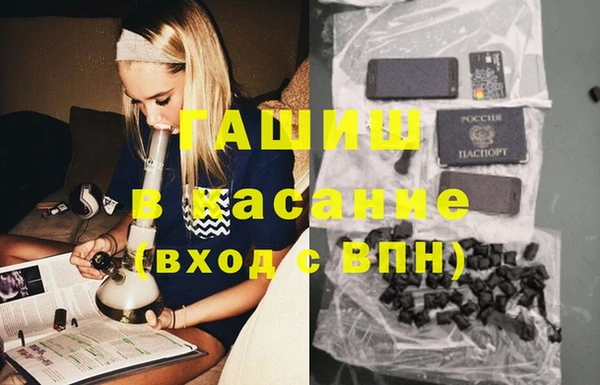 PSILOCYBIN Ельня