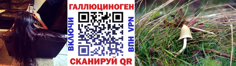закладки  Моршанск  ОМГ ОМГ как войти  Псилоцибиновые грибы Magic Shrooms 